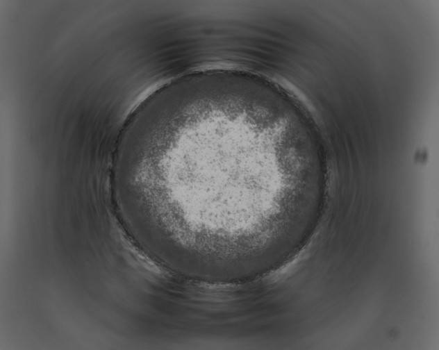 X0000092230921200710051216