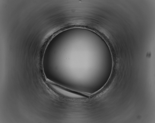 X0000092230922200710051216