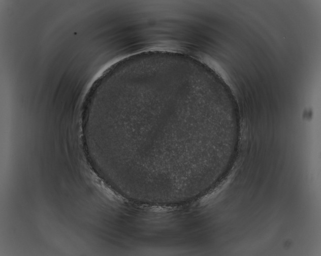 X0000092230923200710051216