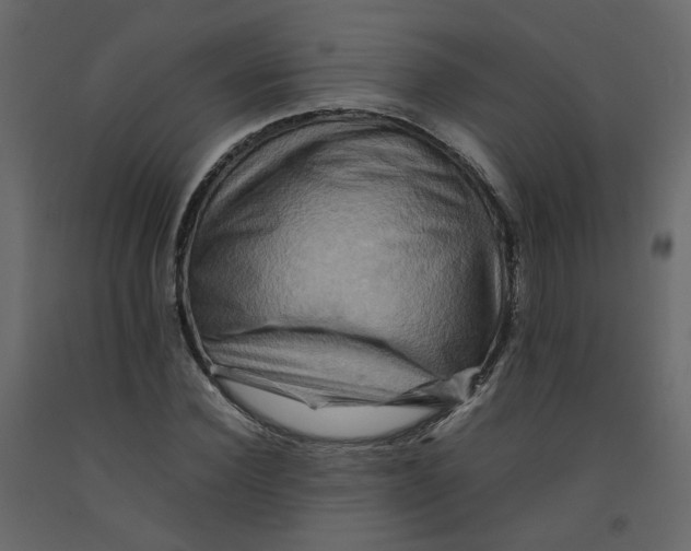 X0000092230924200710051216