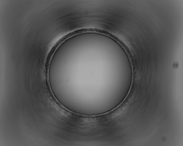 X0000092230927200710051216