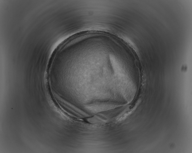 X0000092230928200710051216