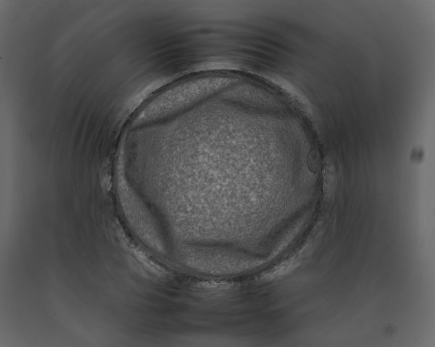 X0000092230929200710051216