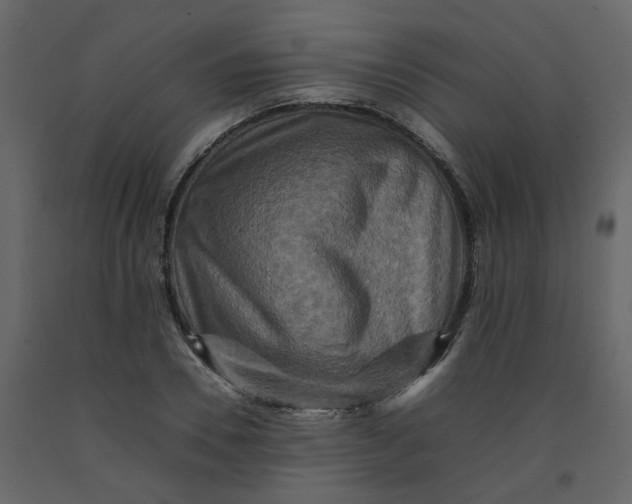 X0000092230930200710051216