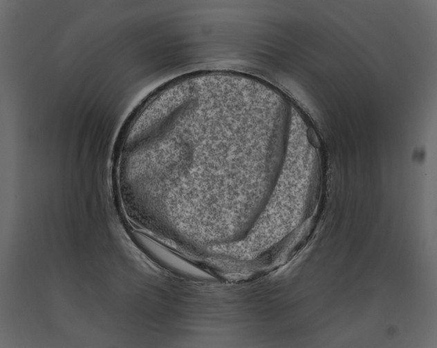 X0000092230932200710051216