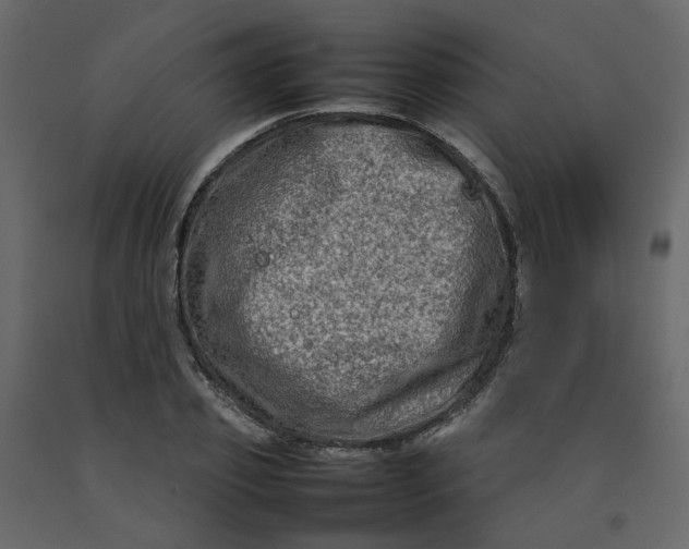 X0000092230933200710051216