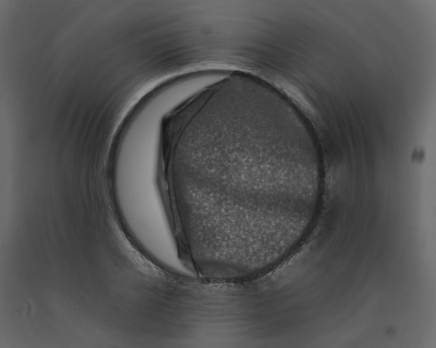 X0000092230934200710051216