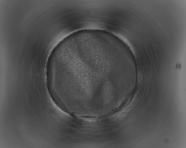 X0000092230935200710051216