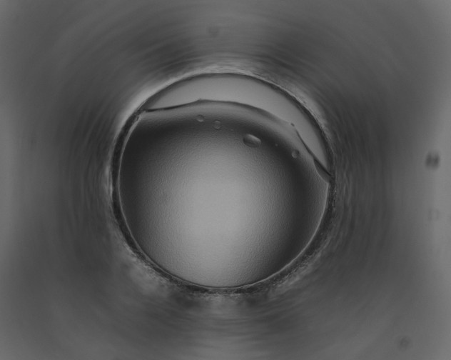 X0000092230936200710051216