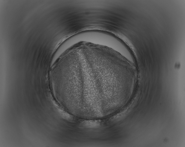 X0000092230937200710051216