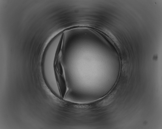 X0000092230939200710051216