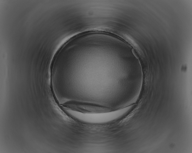 X0000092230940200710051216