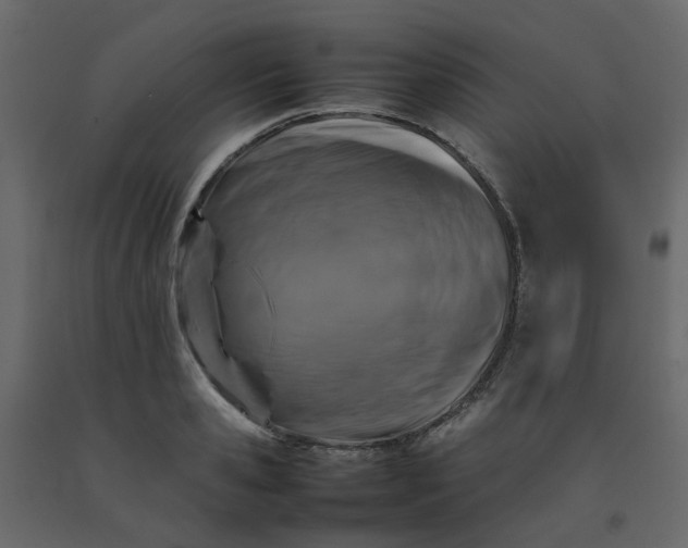 X0000092230941200710051216