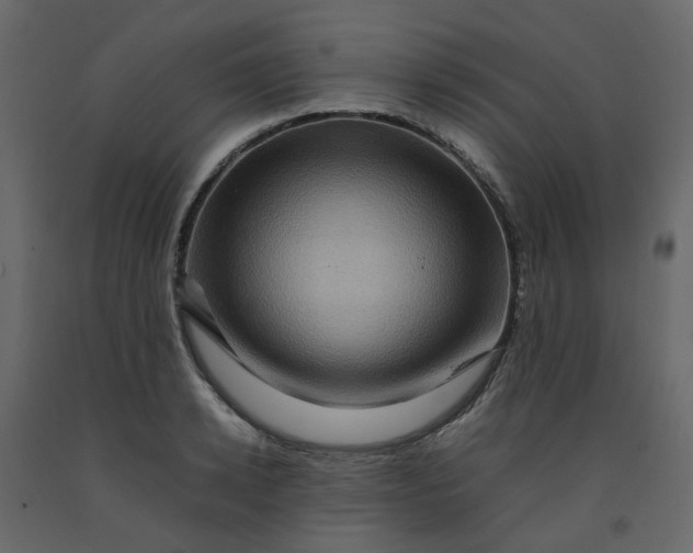 X0000092230942200710051216