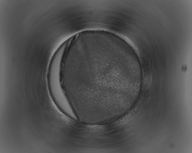 X0000092230943200710051216