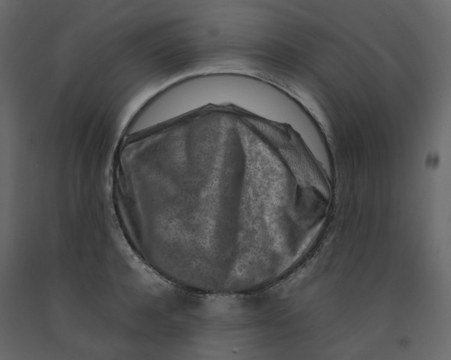 X0000092230944200710051216