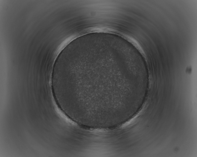 X0000092230946200710051216