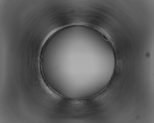 X0000092230947200710051216