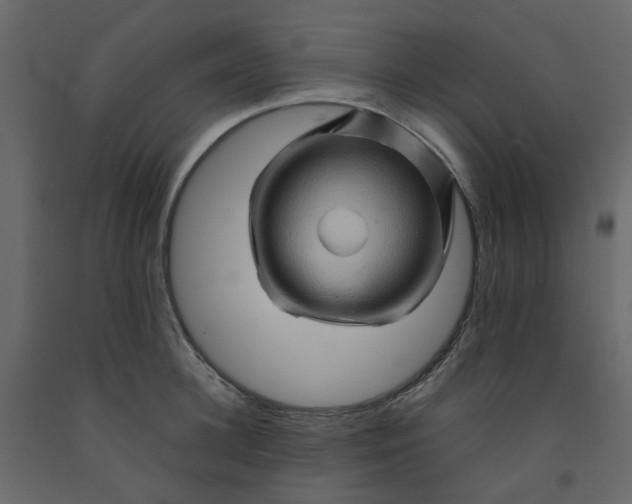 X0000092230948200710051216