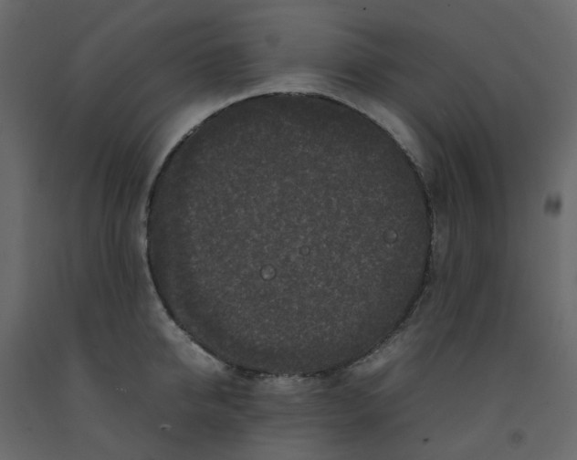 X0000092230950200710051216