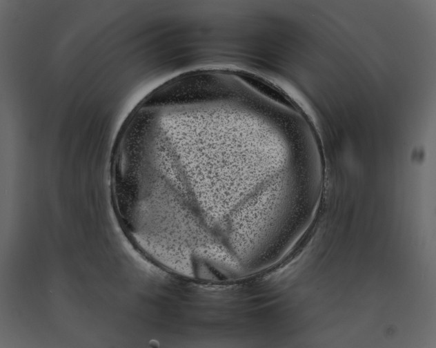 X0000092230951200710051216