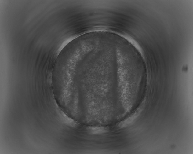 X0000092230953200710051216