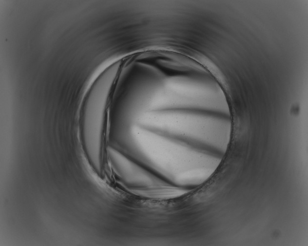 X0000092230955200710051216