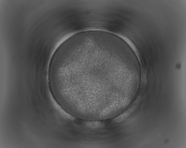 X0000092230957200710051216