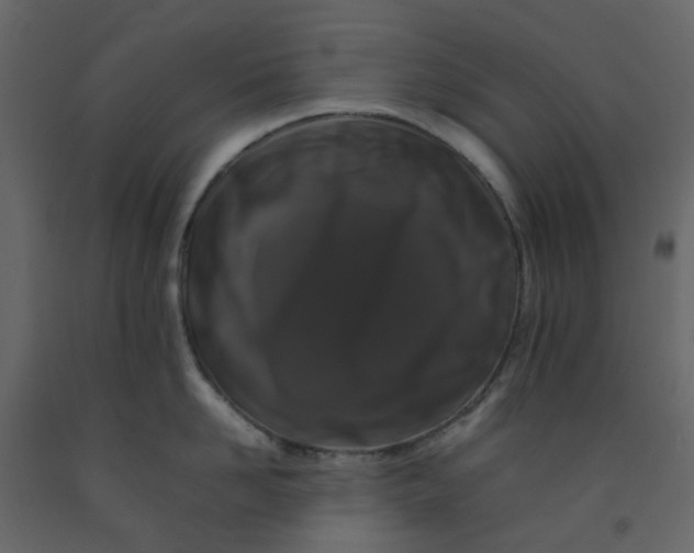 X0000092230958200710051216