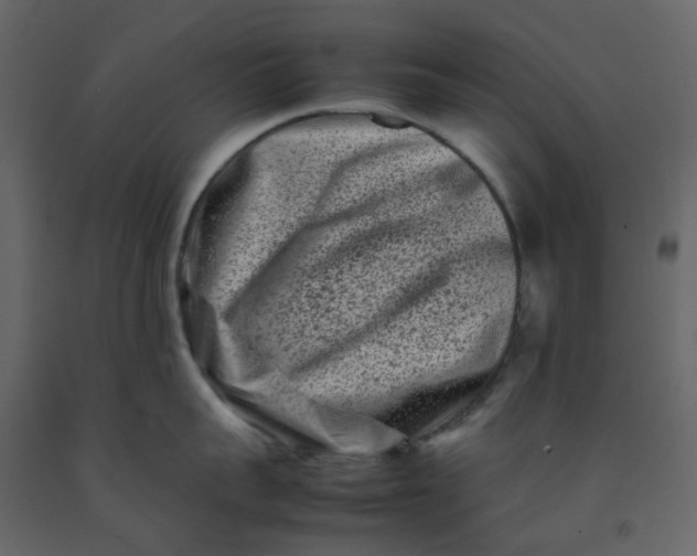 X0000092230959200710051216