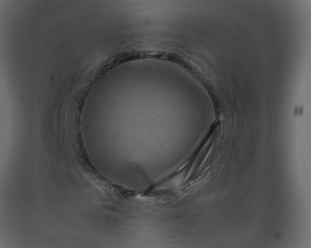 X0000092230961200710051216