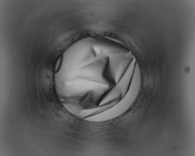 X0000092230964200710051215