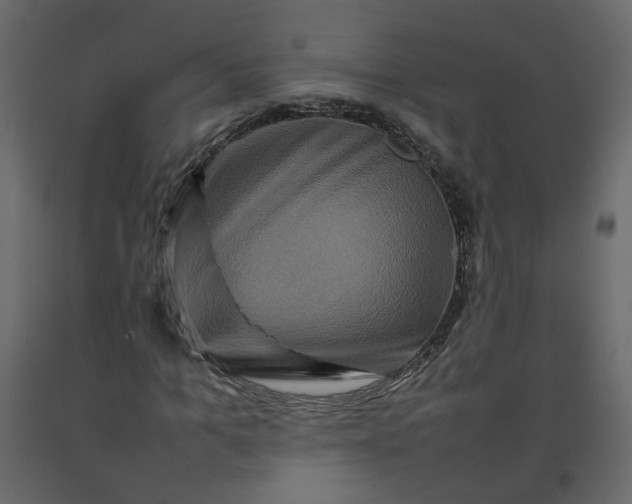 X0000092230965200710051215