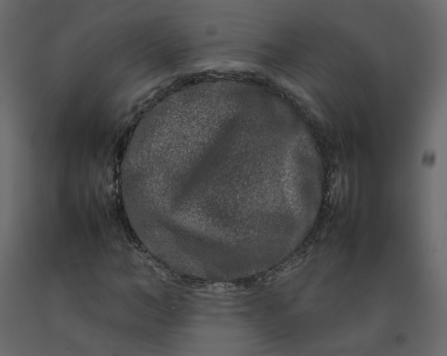 X0000092230966200710051215