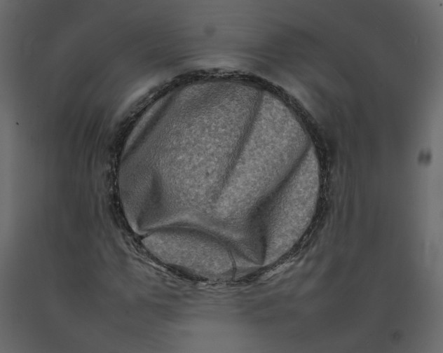 X0000092230967200710051215