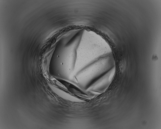 X0000092230968200710051215