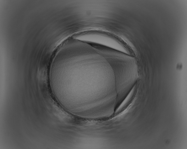 X0000092230969200710051215