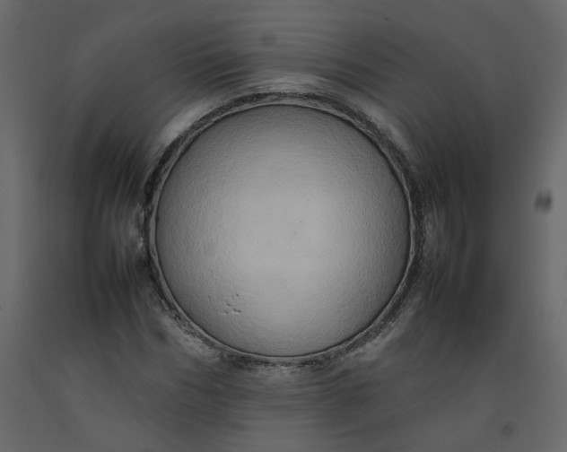 X0000092230970200710051215