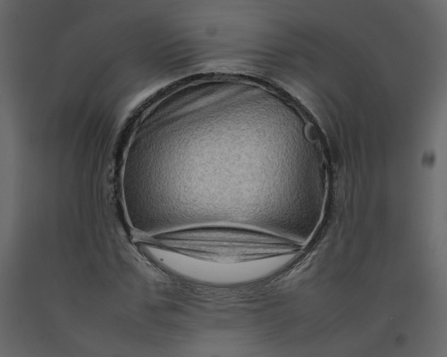 X0000092230971200710051215