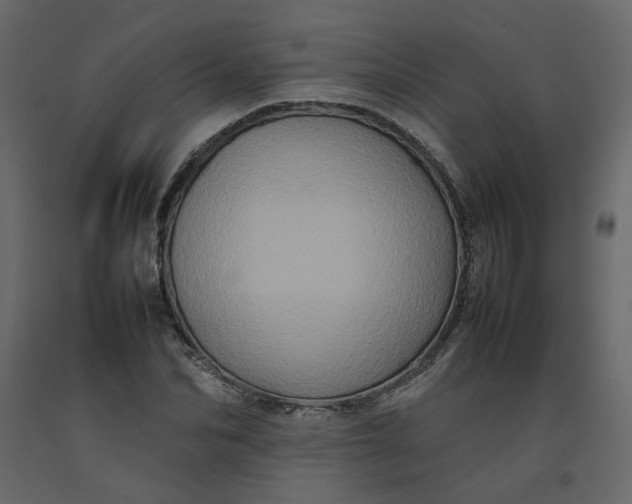 X0000092230974200710051215