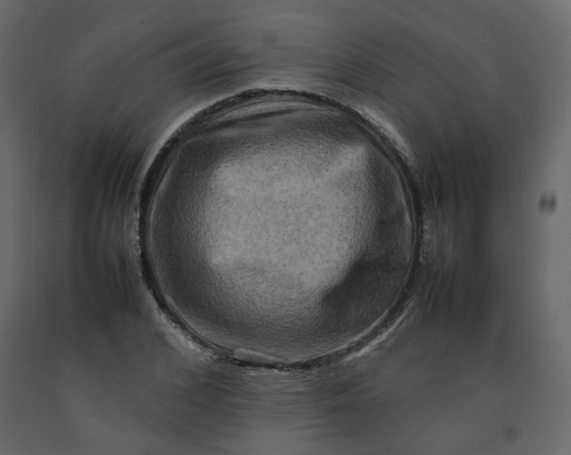 X0000092230976200710051215