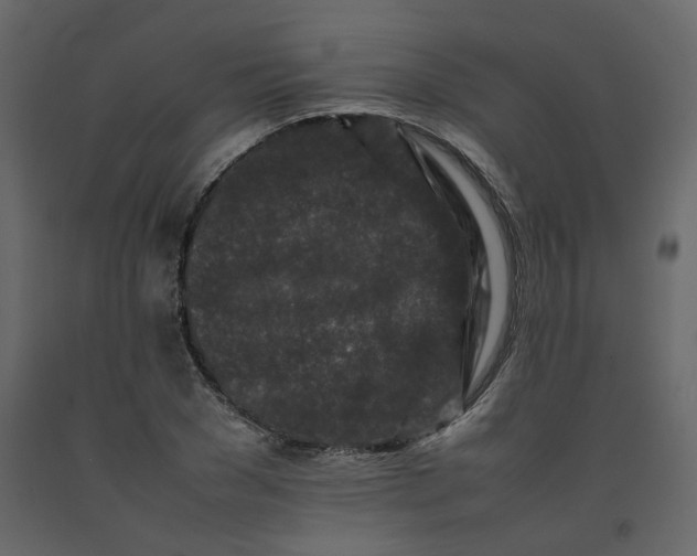 X0000092230977200710051215