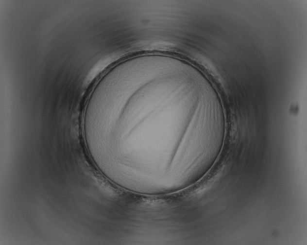 X0000092230978200710051215