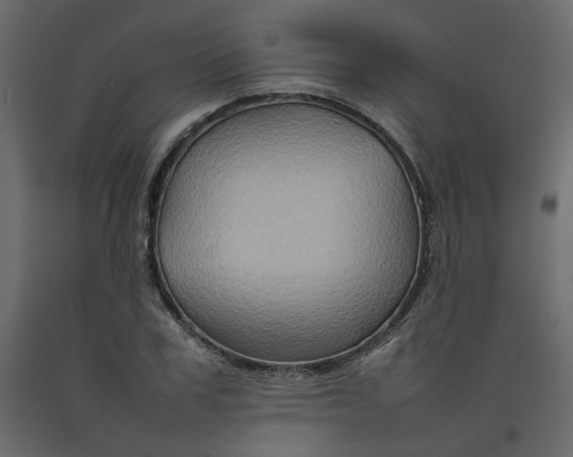 X0000092230979200710051215