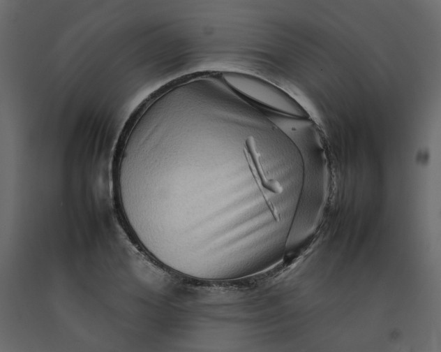 X0000092230980200710051215