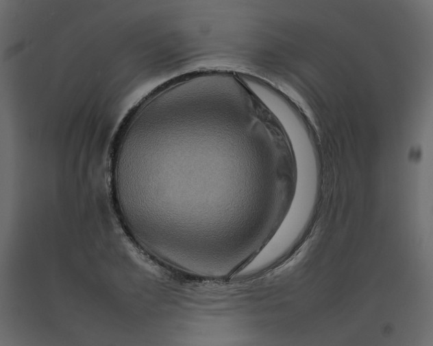 X0000092230981200710051215