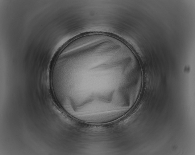 X0000092230982200710051215