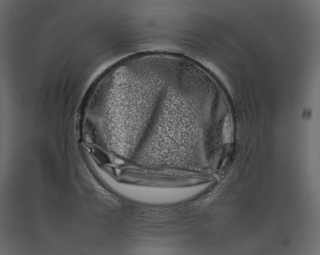 X0000092230983200710051215