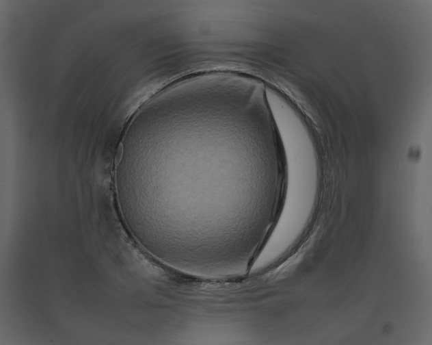 X0000092230985200710051215