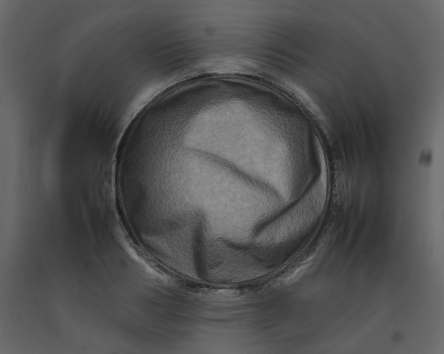 X0000092230986200710051215